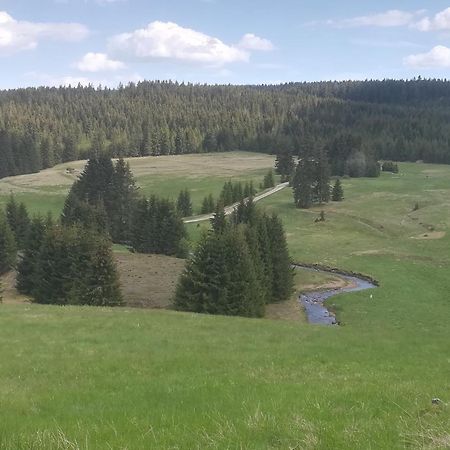 Ferienwohnung Zern Johanngeorgenstadt Εξωτερικό φωτογραφία